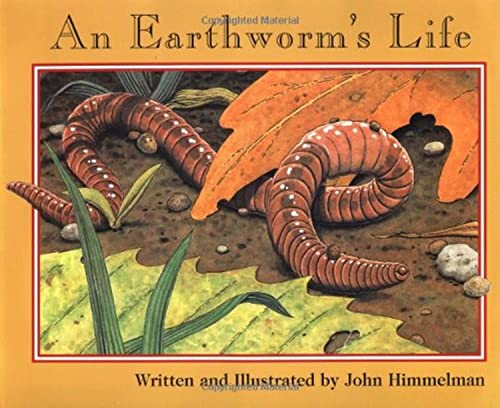 An Earthworm's Life (Nature Upclose)
