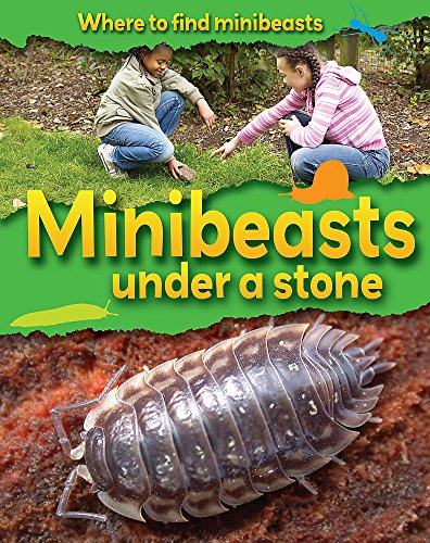 Minibeasts Under a Stone (Where to Find Minibeasts)