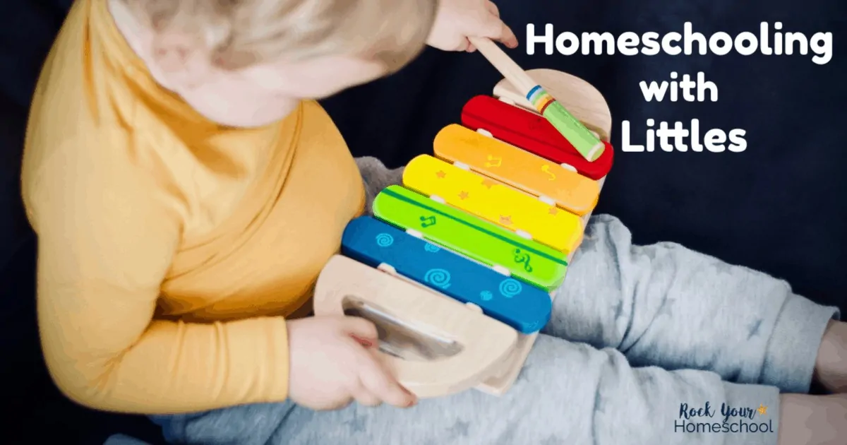Are you homeschooling with littles? Got questions about if you should homeschool your toddler or when to start homeschool preschool? And what about keeping your sanity when little ones are underfoot? Get answers at Homeschool 101!
