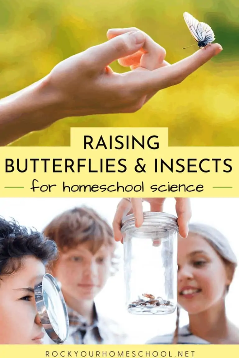 Person holding butterfly on finger and kids observing insects in a jar to feature the awesome homeschool science fun you'll have with these tips for raising butterflies & insects