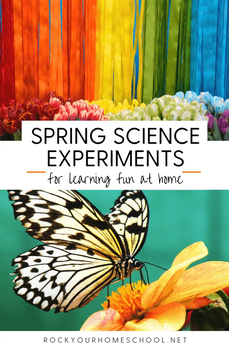 Rainbow of flowers & butterfly on flower to feature the amazing learning fun you'll have with your kids using these Spring science experiments